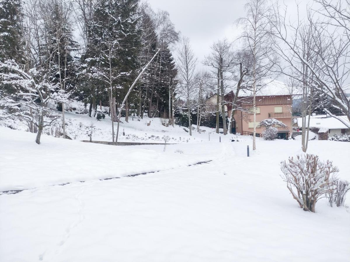 Le Manoir Au Lac Gérardmer Εξωτερικό φωτογραφία