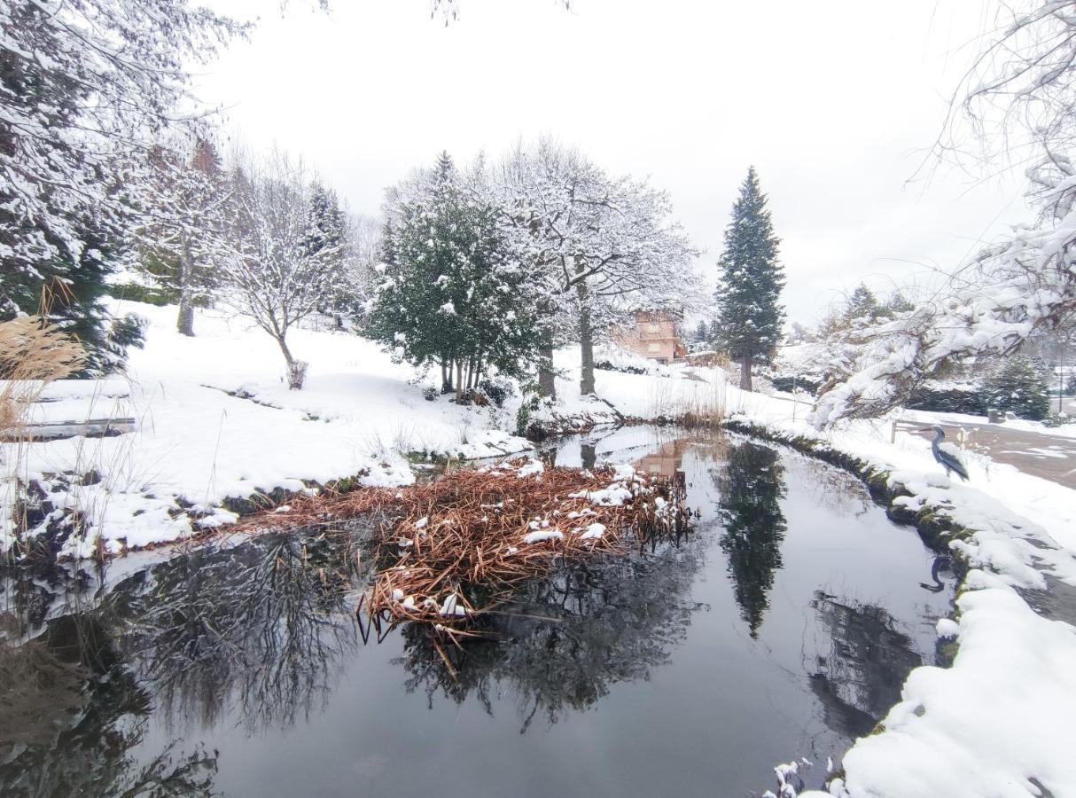 Le Manoir Au Lac Gérardmer Εξωτερικό φωτογραφία