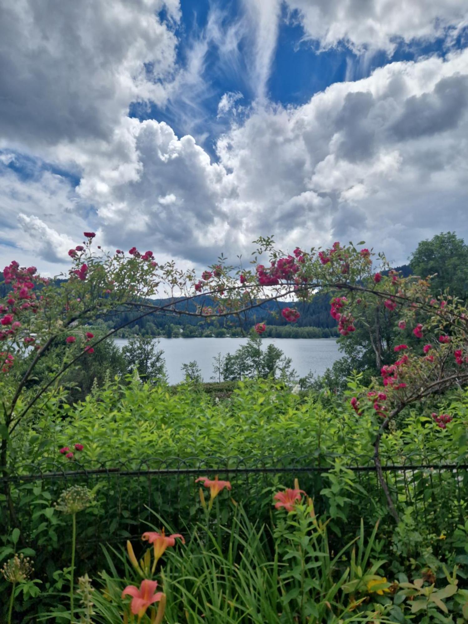 Le Manoir Au Lac Gérardmer Εξωτερικό φωτογραφία